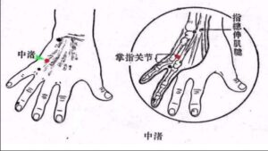 huyệt Trung chử
