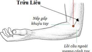 Vị trí huyệt Trửu liêu