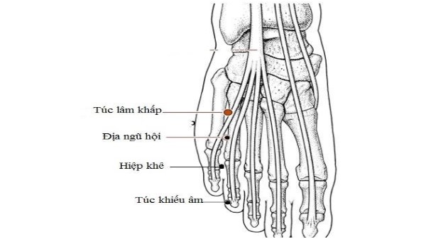 huyệt Túc lâm khấp