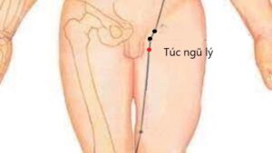 huyệt Túc ngũ lý