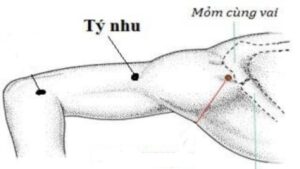 Vị trí huyệt Tý nhu