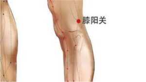 huyệt Tất Dương Quan