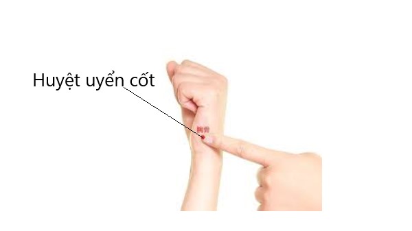 Vị trí huyệt Uyển cốt