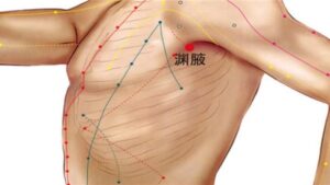 huyệt Uyên dịch