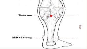 huyệt vị thừa sơn
