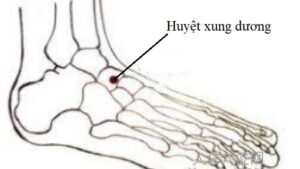 huyệt xung dương
