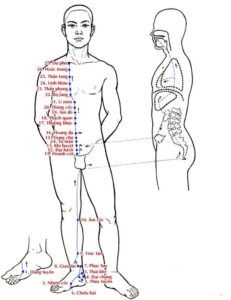 kinh-tuc-thieu-am-than