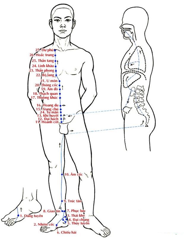 kinh-tuc-thieu-am-than