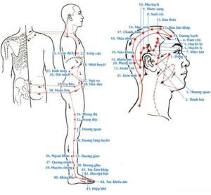 thieu dương đởm kinh