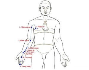 thủ quyết âm tâm bào kinh