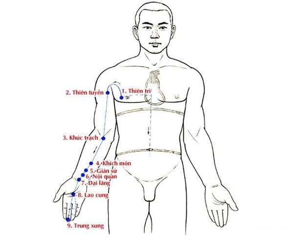 thủ quyết âm tâm bào kinh