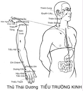 thủ thái dương tiểu trường