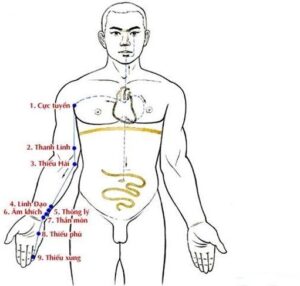 thủ thiếu âm tâm