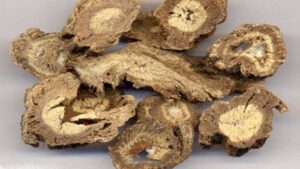 vị thuốc Độc hoạt