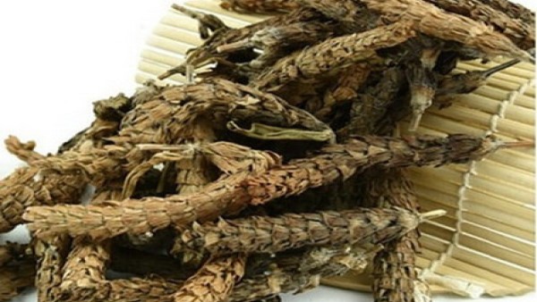 vị thuốc hạ khô thảo