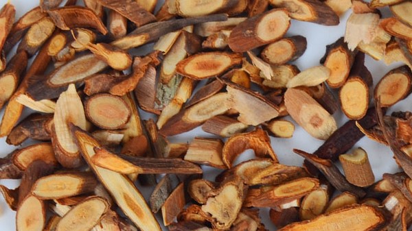 vị thuốc quế chi