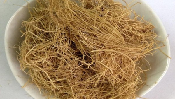 vị thuốc tế tân