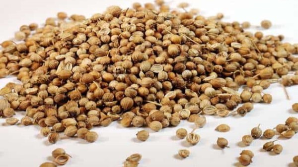 vị thuốc tử tô