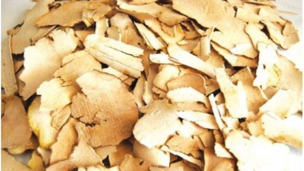 vị thuốc tỳ giải