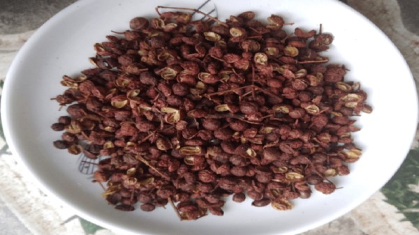 vị thuốc xuyên tiêu