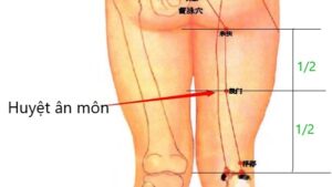 Vị trí huyệt Ân môn