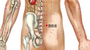 Vị trí huyệt Bàng quang du