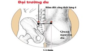 vị trí huyệt đại trường du