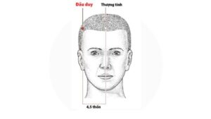 vị trí huyệt đầu duy - cải thiện tình trạng rụng tóc