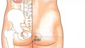 Vị trí huyệt Hội dương