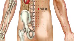 Vị trí huyệt Khí hải du