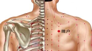 Vị trí huyệt Phách hộ
