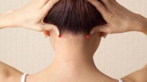 vị trí huyệt phong trì - cải thiện tình trạng rụng tóc