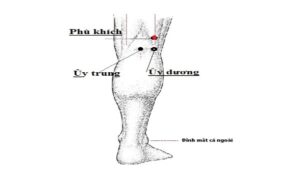 Vị trí huyệt Phù khích 