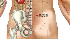 vị trí huyệt quan nguyên du