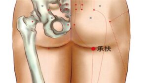 vị trí huyệt thừa phù