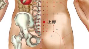 Vị trí huyệt Thượng liêu