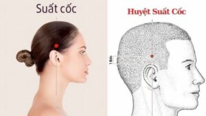 Vị trí huyệt xuất cốc -