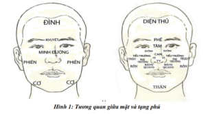 vọng sắc mặt - vọng chẩn trong đông y